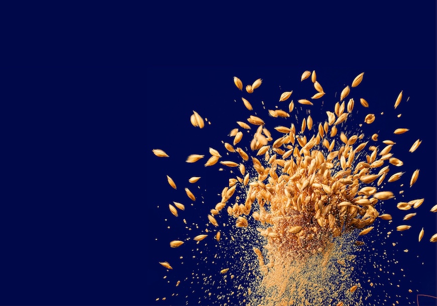 Soufflet Malt - to unleash the power of malt